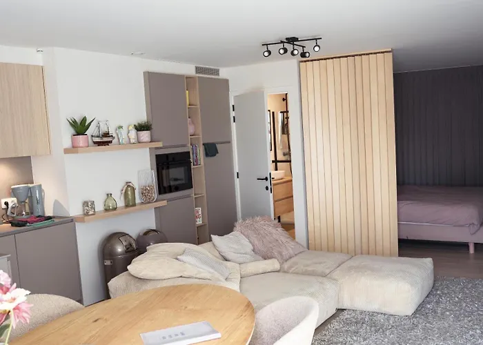 Appartement Penthouse Voor 2 Met 2 Ruime Terrassen Op 6 Min Wandelen Het Ostende