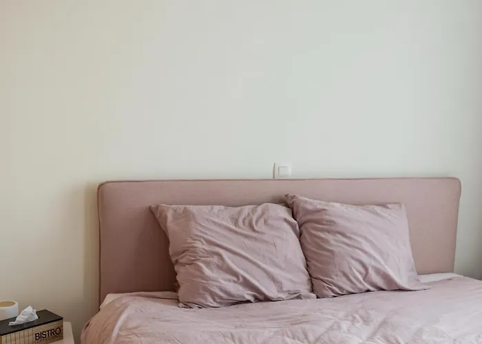 Penthouse Voor 2 Met 2 Ruime Terrassen Op 6 Min Wandelen Het Ostende